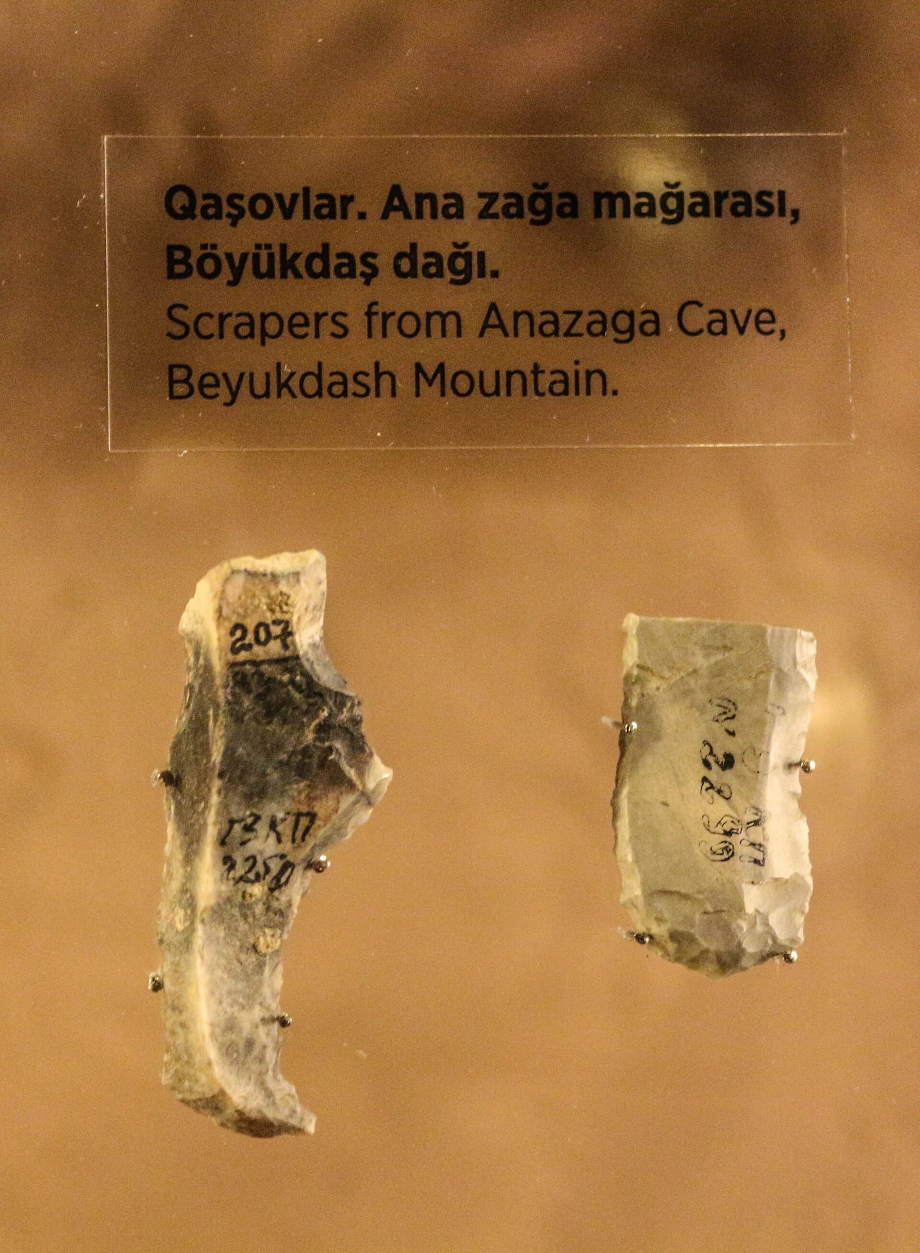 Ana zağa mağarasından aşkarlanmış qaşovlar