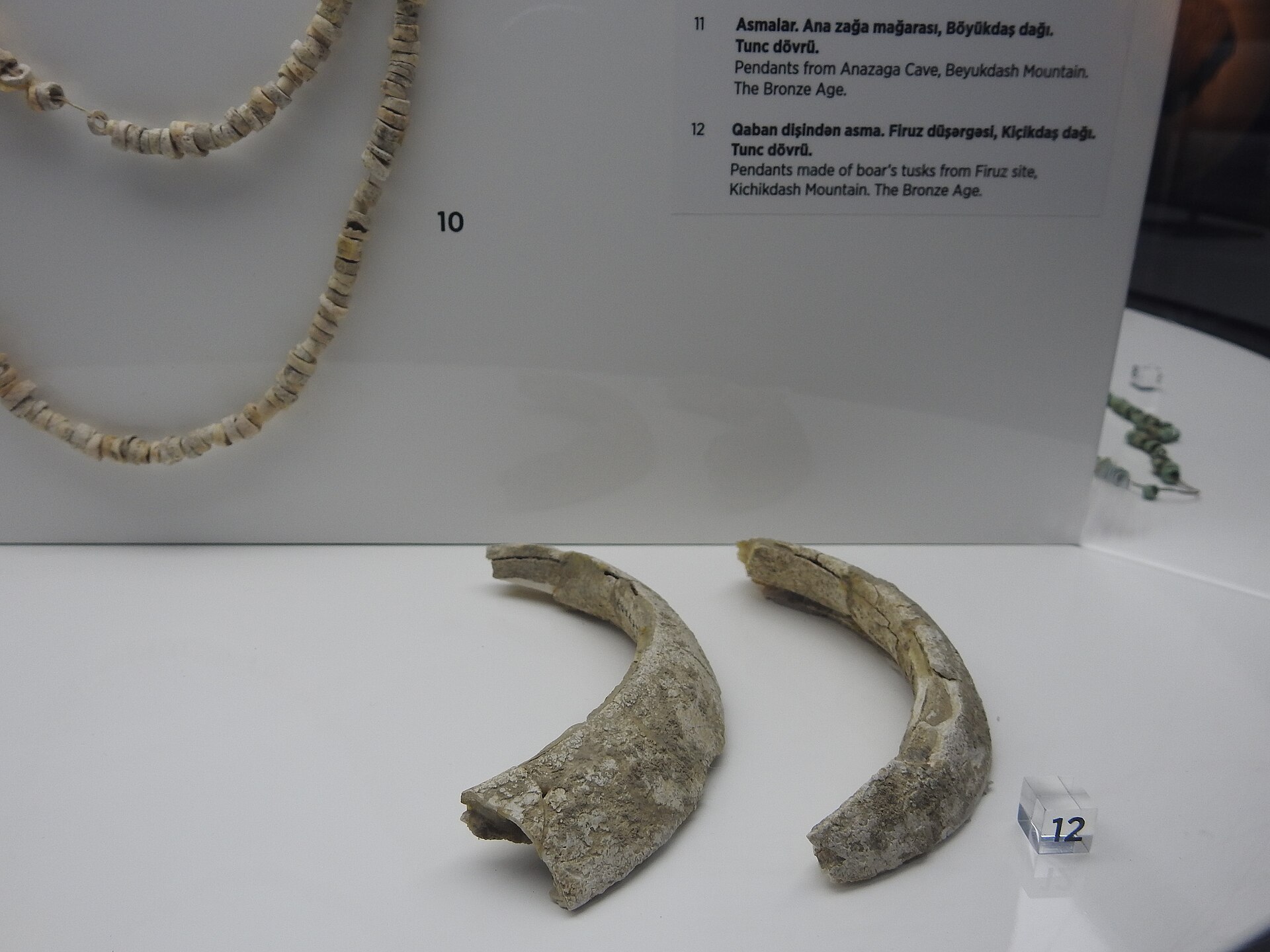 Qaban dişlərindən hazırlanmış Tunc dövrü bəzəkləri